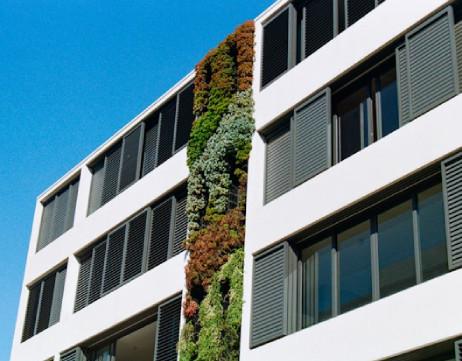 Bay window installation with expansive view, custom trim, and added curb appeal