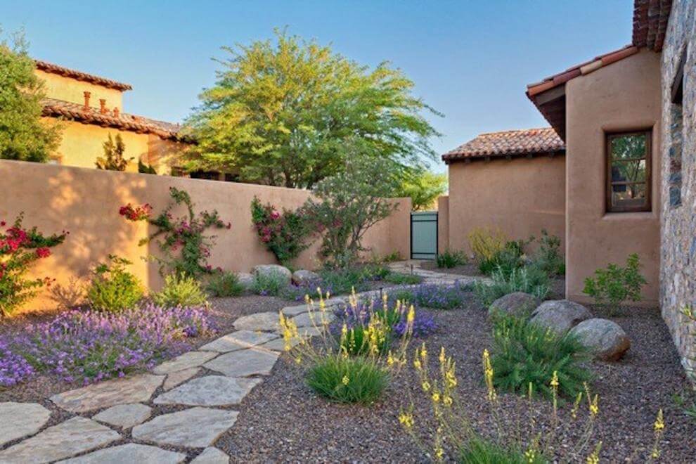 drought tolerant and low water landscape